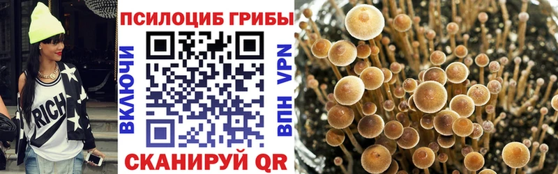 сайты даркнета Telegram  Гороховец  Галлюциногенные грибы GOLDEN TEACHER 